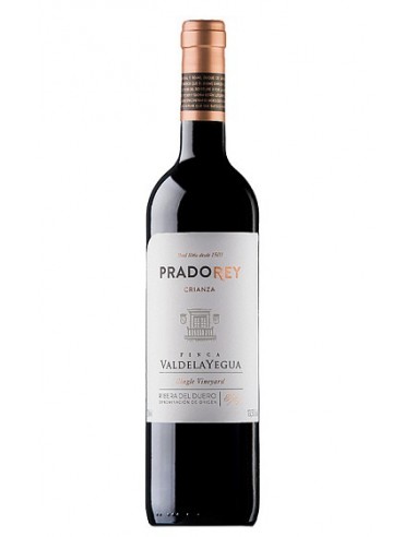 Finca Valdelayegua (Crianza) Magnum -...